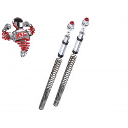 Κιτ Αναβάθμισης Πιρουνιού Zontes D350 / E350 YSS